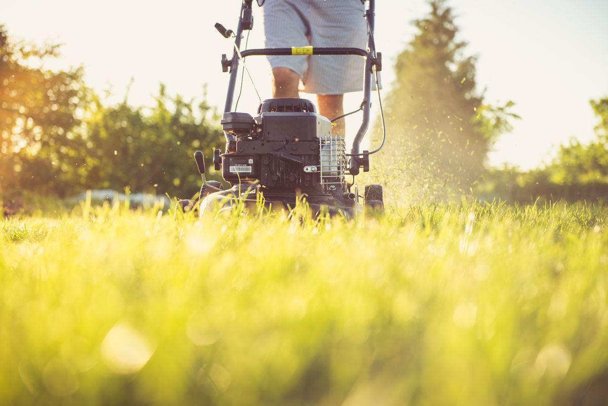 Gartenpflege – Rasen wird gemäht