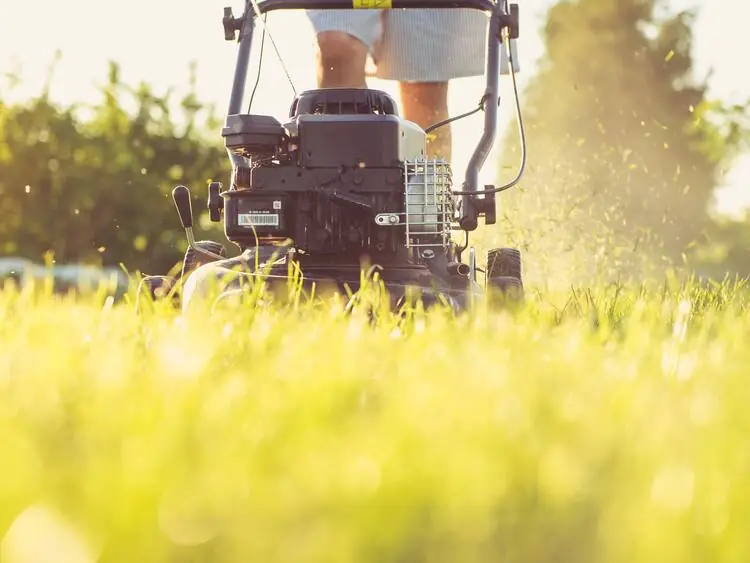 Gartenpflege – Rasen wird gemäht